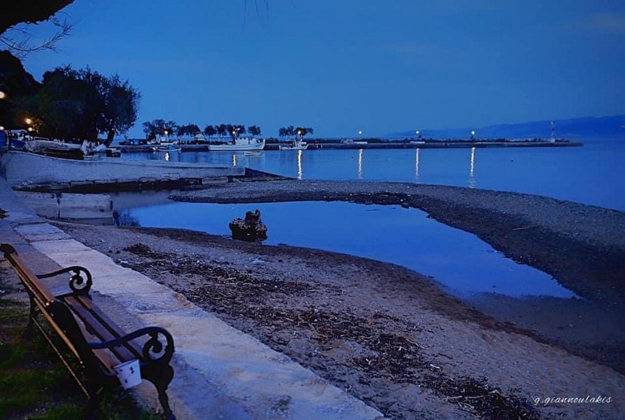 플라타니아스 Harmony Seaside Pelion 아파트 외부 사진
