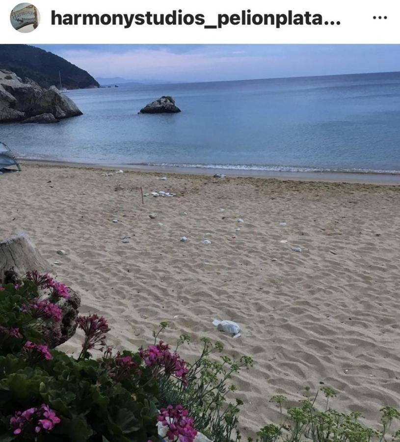 플라타니아스 Harmony Seaside Pelion 아파트 외부 사진